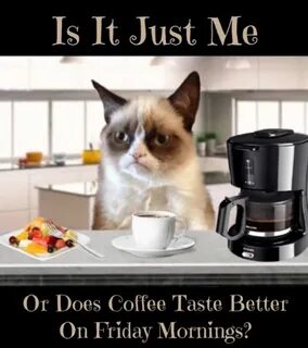 Grumpy Cat Funny grumpy cat memes, Coffee tastes better, Gru