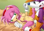 Mobius Unleashed: Amy Rose - 100/286 - Hentai Image
