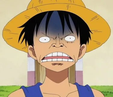 Disgusted Luffy One Piece Know Your Meme