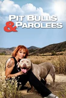 What Time Does 'Pit Bulls and Parolees' Come On Tonight?