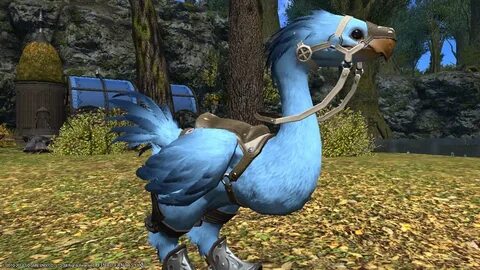 Chocobo Color Guide Ffxiv : Lily Arlune Blog Entry `Chocobo 