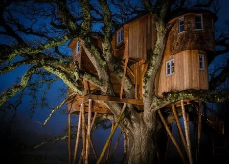 Как выглядит самый большой дом на дереве в Великобритании