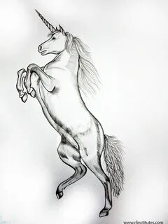 Simple Unicorn Pencil Drawing / Realistic Unicorn Pencil Dra