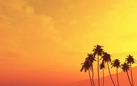 Palm Tree Desktop Wallpaper (72+ images)