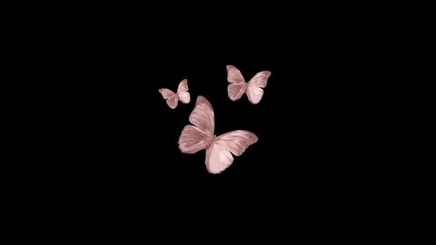 Aesthetic Butterfly Laptop Pink Wallpapers - Wallpaper Cave