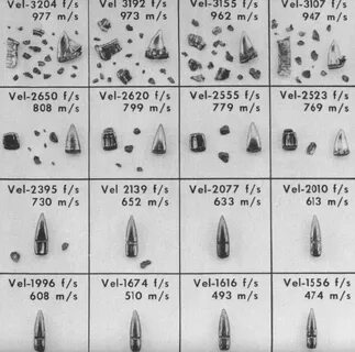 7.62х54R - или хорошо, или ничего? страница 34 - Guns.ru Tal