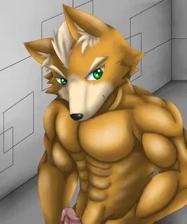 Xbooru - canine cute erection fox fox mccloud furry male mus