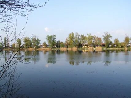 File:Speyerlachsee, Blick auf das Ostufer.jpg - Wikimedia Co