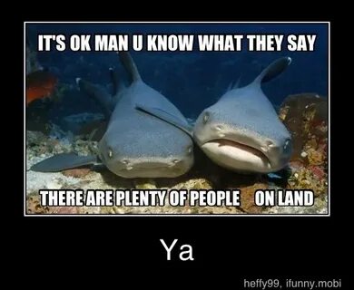 plenty fish.. i mean people in the sea..land.' Funny memes, 