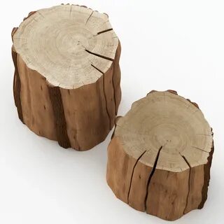 Tree Trunk 3d Model - Malaysia