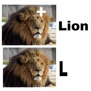 Lion is just a L without an Ion 😂 😂 Science memes, Online sc