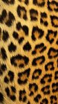 Page Not Found Iphone prints, Animal print wallpaper, Print