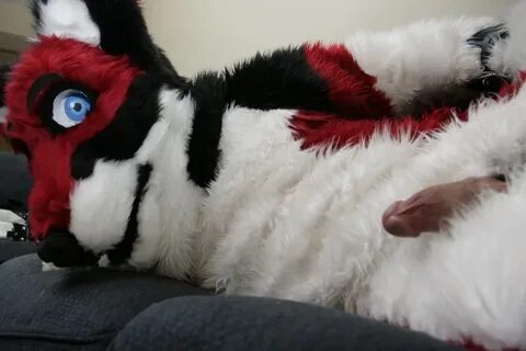 yiffing.in - Gallery: Fursuit