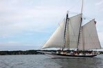 Special cruise, deck tours aboard Lady Maryland - Chesapeake