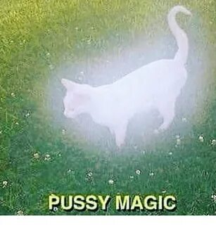 PUSSY MAGIC Meme on ME.ME