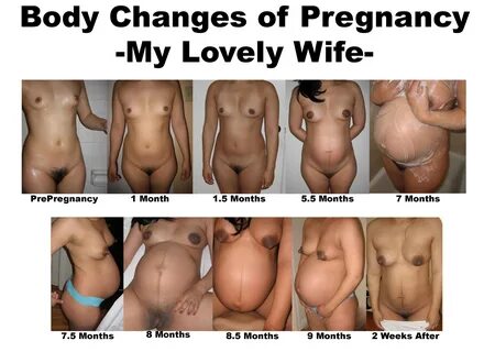 Nude pregnancy progression