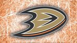 Anaheim Ducks Wallpapers (77+ background pictures)