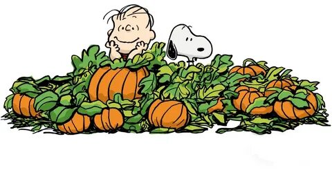 Linus and Snoopy awaiting the arrival of the Great Pumpkin G