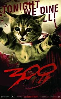 Starring.......? Cat movie, Cat posters, Cats