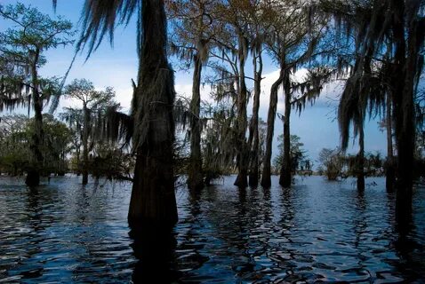 Top 10: los pantanos más bellos del mundo (FOTOS)