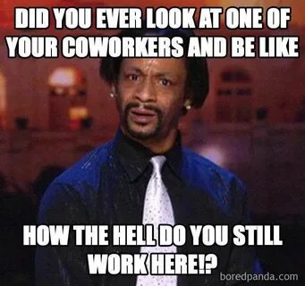 Top 30 Funny Memes About Coworkers #relatablememes Funny cow