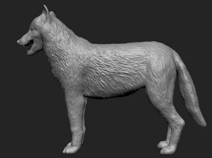 Dire Wolf for Art Test - polycount