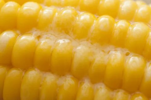 Melted butter on sweet corn - Free Stock Image