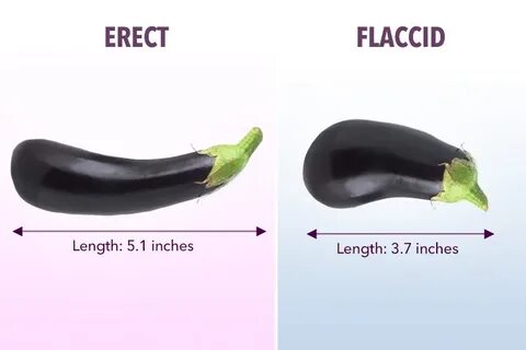 Average Penis Size: What’s Normal And Does Size Really Matte