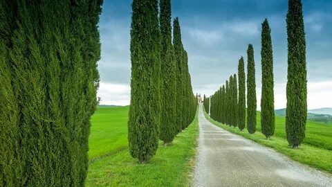 Wallpaper Tuscany, Italy, road, grass, cypress 1920x1440 HD 