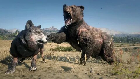 Legendary BEAR vs Legendary WOLF → Red Dead Redemption 2 PC 