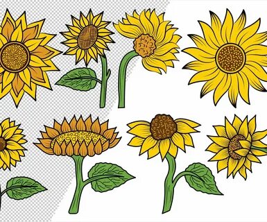 Sunflower Clipart Bundle? SVG File
