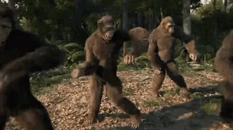 Coldplay Dancing GIF - Coldplay Dancing Monkey - Discover & 