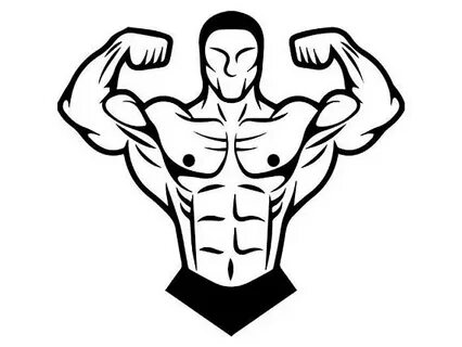 The best free Bodybuilder drawing images. Download from 150 
