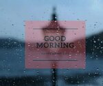 30+ Perfect Good Morning Wishes For A Rainy Day Best Images 