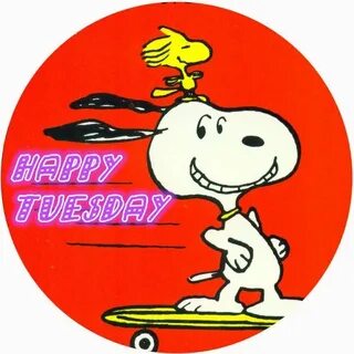 Happy Tuesday - Snoopy and Woodstock on Skateboard Snoopy va