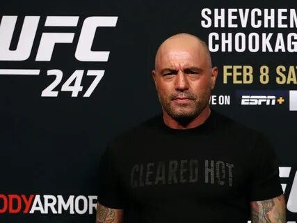 How comedian and UFC commentator Joe Rogan became the world'