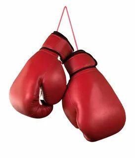Hayabusa S4 Beginner Boxing Glove Kit - Clip Art Library
