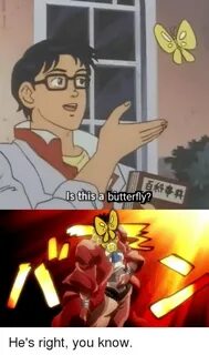S This a Butterfly? Anime Meme on Conservative Memes