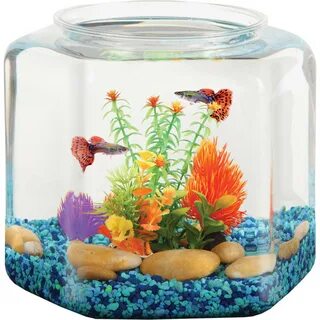 Hawkeye 2-Gallon Hexagon Fish Bowl, Ideal for Wedding Recept