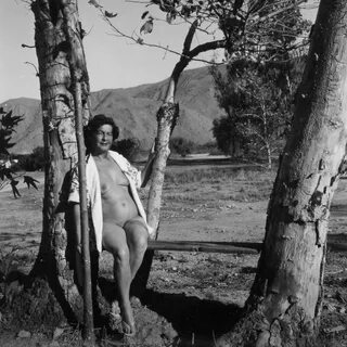 Western Nudist Research Library (@NudistLibrary) Twitter (@NaturistVintage) — Twitter