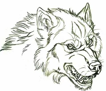 Cartoon Wolf Drawing Angry - Debora Milke
