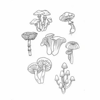 Pin by Ashley Burgess on Aesthetic Drawings, Mushroom drawin