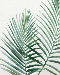 Palm Fronds Png posted by John Simpson