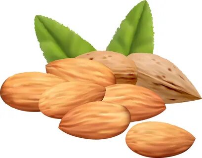 Almond Nuts Png Clipart Image - Nuts And Their Names - (6343