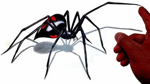Drawn arachnid giant spider - Pencil and in color drawn arac