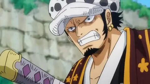 Law Gets Angry On Luffy And Zoro For Recklessness - One Piec