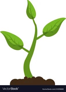 Clipart, plant, plants, resulution - 776x1080, filesize - 61