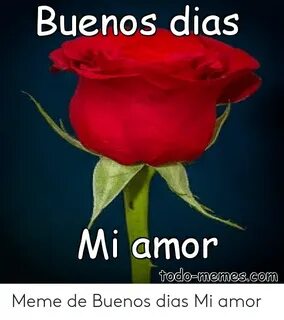 Buenos Dias Mi Amor Todo-Memescom Meme De Buenos Dias Mi Amo