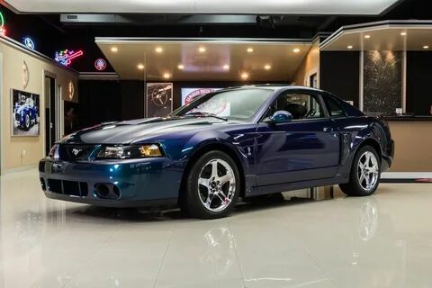 Best Mustang Colors Top 13 Mustang Colors - LMR.com