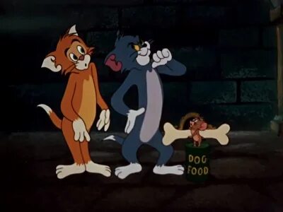 Tom and Jerry - Aired Order - All Seasons - TheTVDB.com